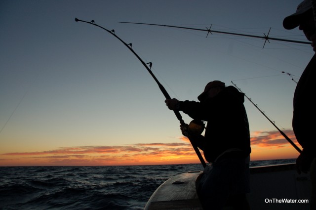 Kevin Kelly does battle with a yellowfin tuna, that won its freedom shortly after this photo was taken. 