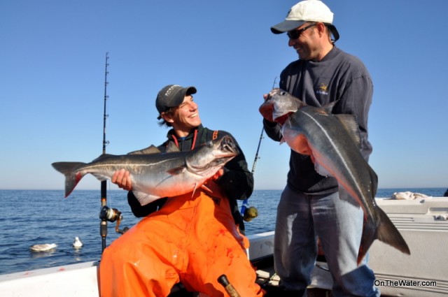 Stellwagen Bank pollock fishing