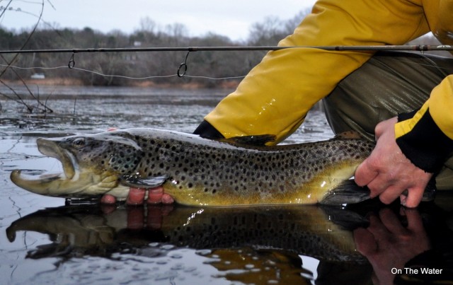 Fenwick Elite Tech River Runner Spinning Rod Review Trout