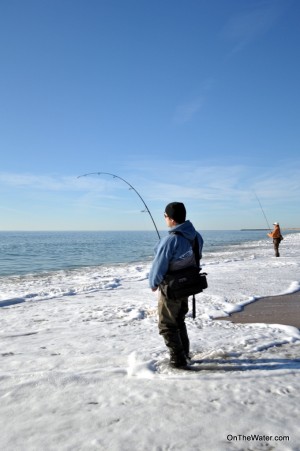 Surfcasting December Rhode Island