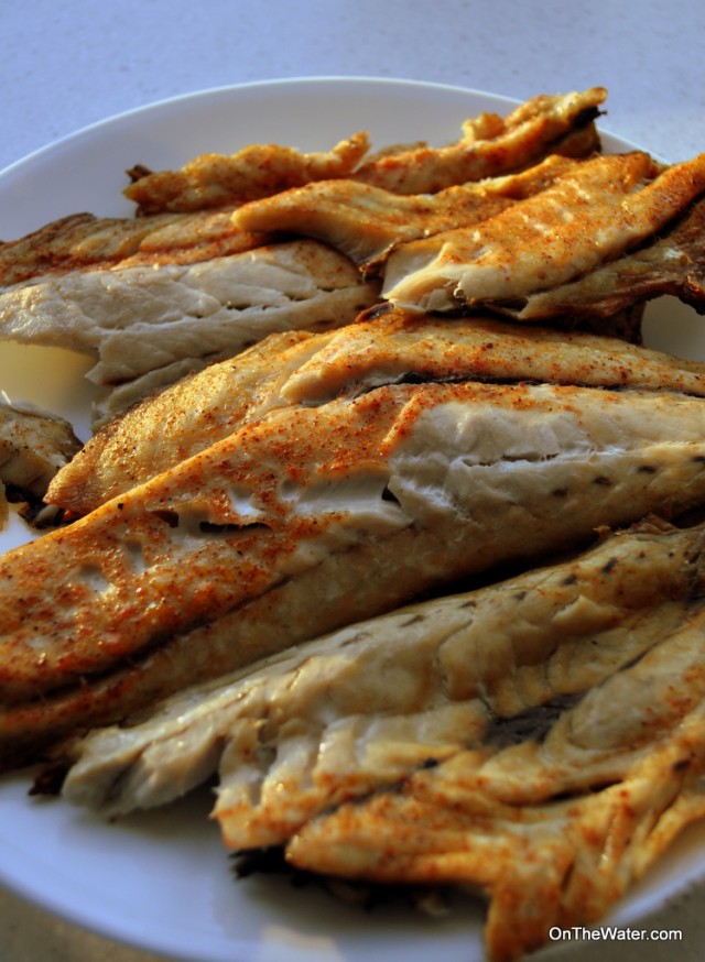 smoked bluefish fillets
