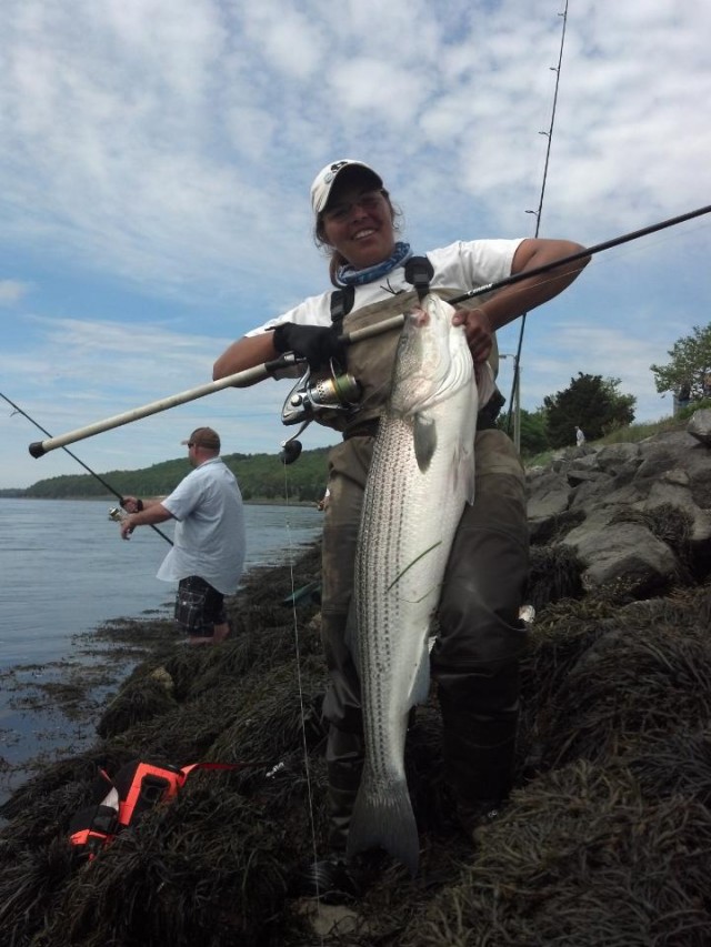 Daphne Forster 46 inch 6-8-12