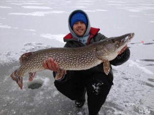 Dave Russo hoists a 44-inch northern pike that ate a big white sucker under the ice at Bantam Lake