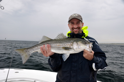 David Dykeman Striped Bass
