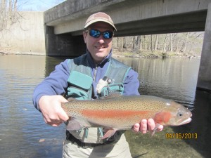 Rainbow Trout on Saugatuck River