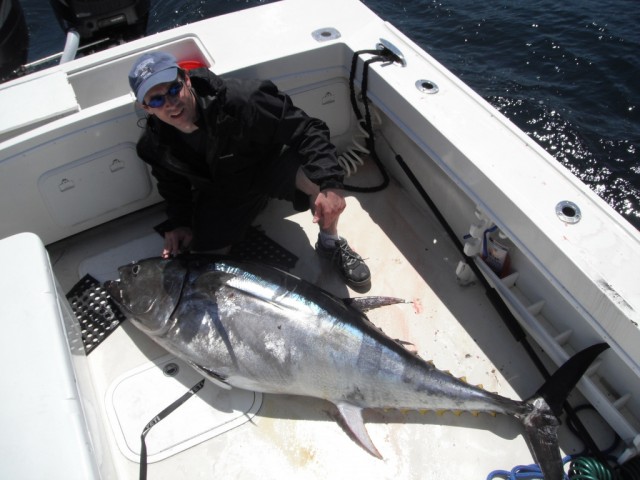 Fish Chatham Charters put a 75-inch tuna in the boat over the weekend.