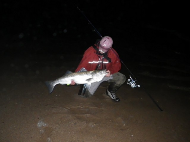 September Striper Fishing Jimmy Fee Cape Cod