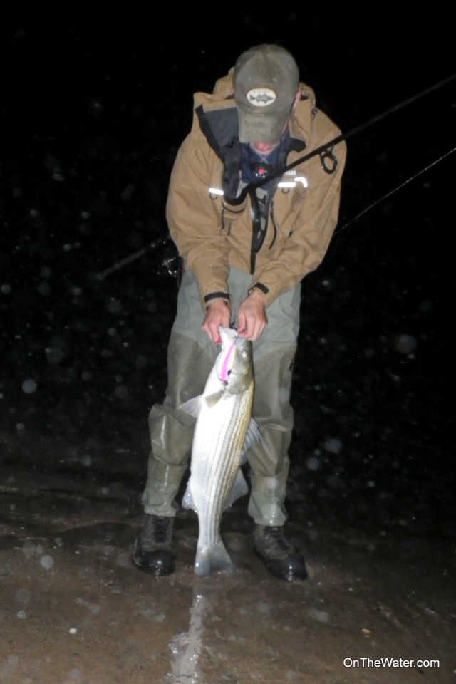 Kevin Blinkoff Race Point Surf Fishing Striped Bass