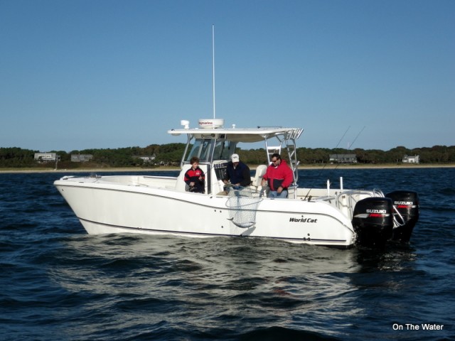 Netting False Albacore Fishing Cape Cod