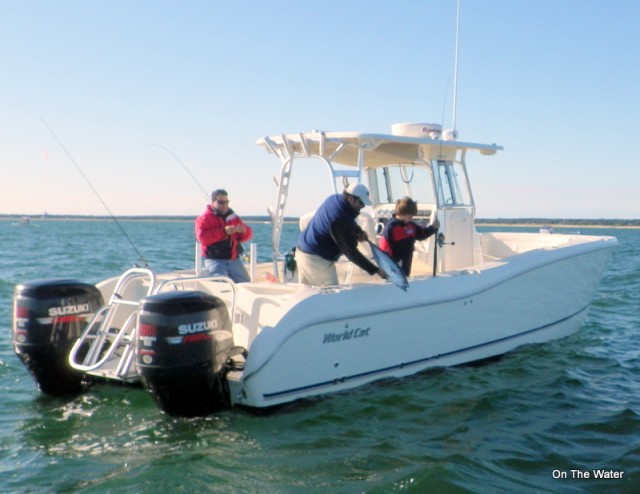 13 pound false albacore release