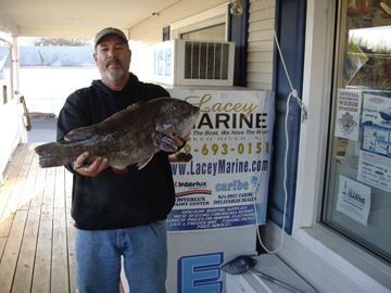 Forked River Tuna Club Member Eric Engard with a monster 11.27# blackfish caught on the Harry J.