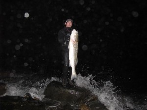 The author with a 43-pound bass taken from the surf earlier this week.