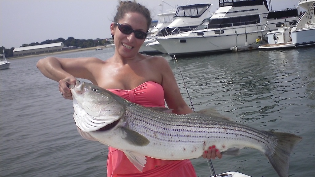 You can't beat a live pogy on the line, just ask Gina Paone of Medford who took this cow on a livie.