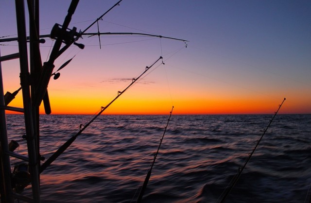 Sunrise in the Canyon