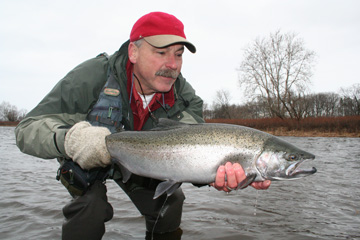Salmon River Guide Gary Edwards admires a fresh steelhead caught in the Douglaston Salmon Run on the Salmon River.