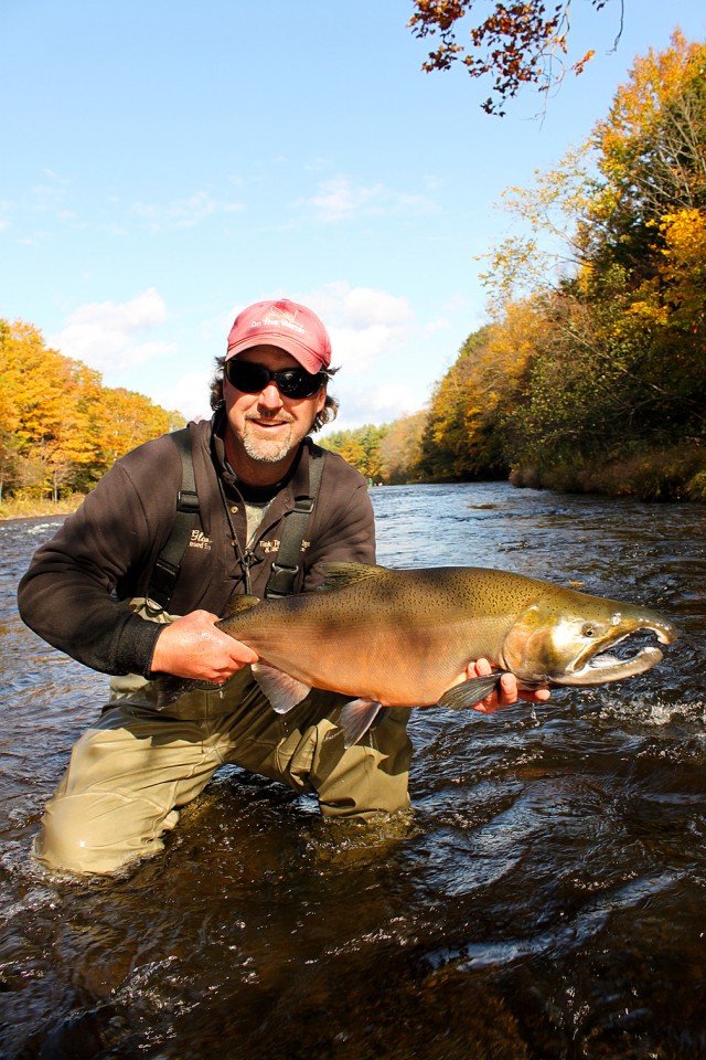 Giant COho Salmon Pulaski Male Coho