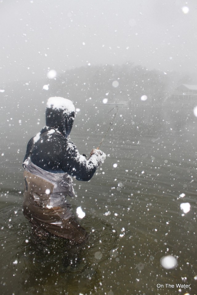 snowing fishing trout