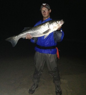 Keepers are still being taken at night on Plum Island. Thanks to Surfland for the pic.
