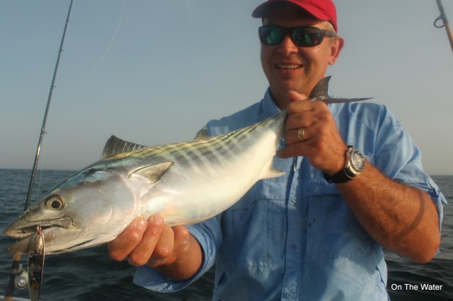 IMG_4921 swedish pimple atlantic bonito martha's vineyard hooter neal larsson hooter cape cod