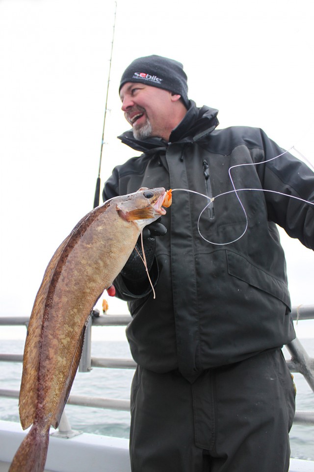 Ling, or red hake, are a bottom-dwelling fish with delicious meat that some people prefer over their cousins the cod.