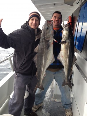 The Captain John out of Plymouth reports successful pollock fishing this week.