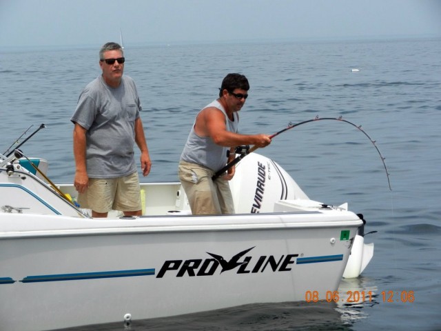 Joe Fights Boston Thresher Shark Joe Fights Boston Thresher Shark