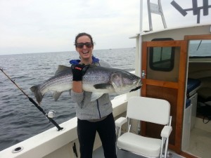 Julie C. caught this big bass on Saturday morning at the mouth of the Merrimack. Photo courtesy of Surfland Bait & Tackle.