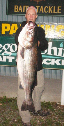 Ken Zwirko Bass Ken Zwirko Bass