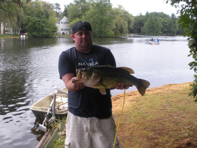 Largemouth Bass NH