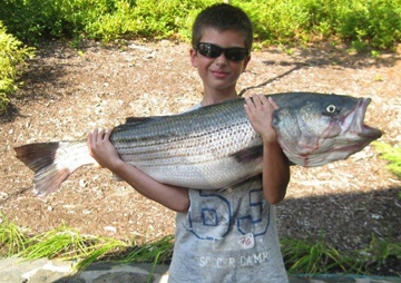 Luke Fasullo CC Luke Fasullo