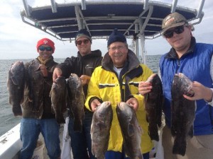 Captain Jason Colby of Little Sister Charters had limit catches of tog on Thursday's trip. Before daybreak there was a pretty good bite of bass going for Kevin (red hat on the left) on plug.