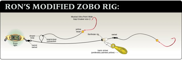 Ron Power’s homemade flounder rigs use wide-gap hooks instead of traditional Chestertown (Virginia-style) hooks. They don’t bend out as easily, and they don’t tend to gut-hook fish. Ron swears that the painted sinker and Esca light help attract fish... I can not disagree.