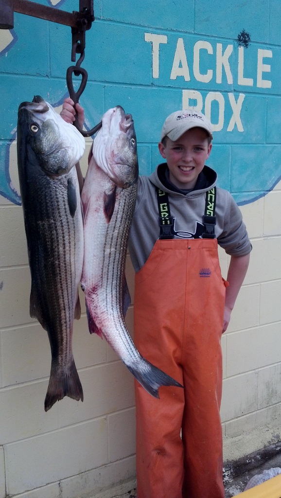 Hunter Bartnicki caught these keeper stripers on May 11.