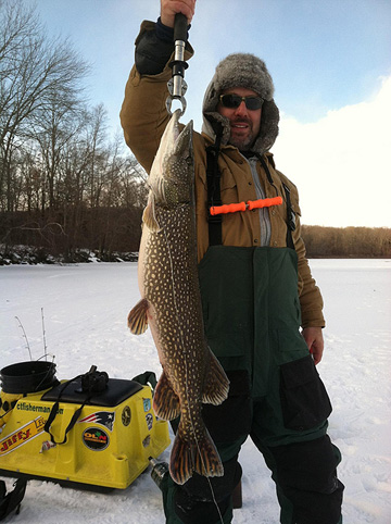 Mitch Passero of CTFisherman.com caught and released this nice Connecticut pike that ate a dead bait on Wednesday afternoon.&nbsp;