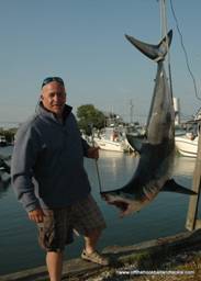NJShark NJ Shark