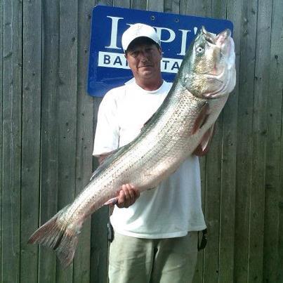 Nahant Striper Cup