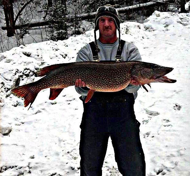 This 44-inch, 26-pound, 11-ounce northern pike was bested by Kevin Phelps and is currently pending to become the New Hampshire state record!