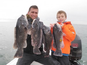 Paul Brannan and his son with a nice limit of blackfish thanks to Reel Cast Charters.