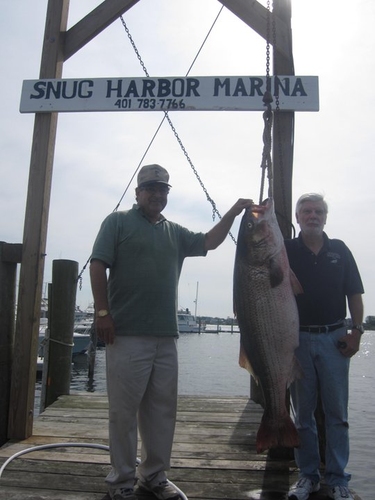 Peter Vican Striper 77.4 pound Rhode Island Striped Bass