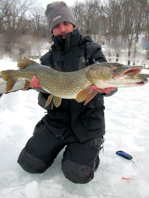 Late ice is producing some big pike. Tom Bieback took this one on the Connecticut River.
