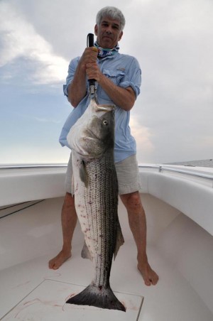 Striped Bass with Red Sores