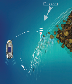 Casting to a Dangerous Rip: Some rips, such as those created by shallow reefs or rockpiles require that someone stays onto the helm at all times. Position the boat parallel to the rip and keep it in gear to hold ground. Cast into the leading edge of the rip and work your lure back with the current.