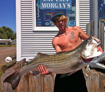 Ron Hughes ri Ron Hughes