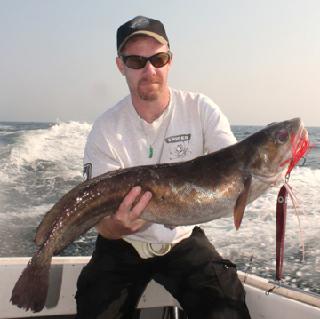 Russ Eastman blue hake