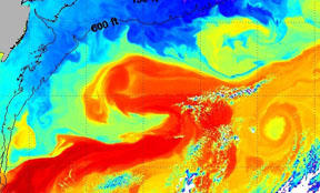 RutgersEddyDevelopment