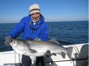 Steelfinangling.com&rsquo;s Craig Rogers with a fat, 40-pound bass taken off of Ocean City on a sand eel umbrella rig this week.  Released to spawn a few million more like her.