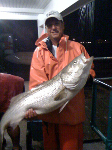 Speranza Steve Speranza