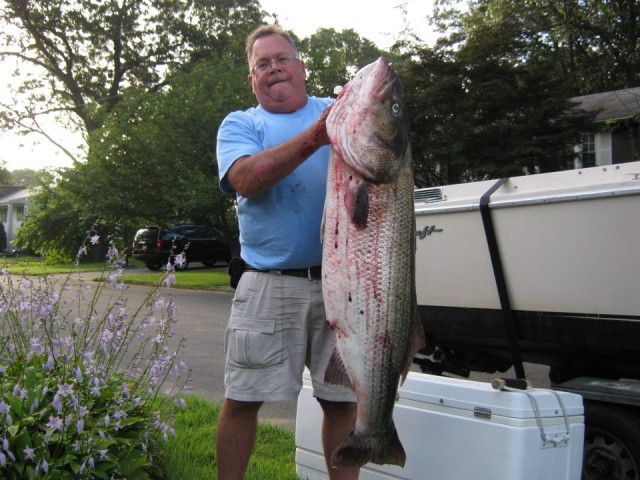 TJ Houde TJ Houde Striped Bass