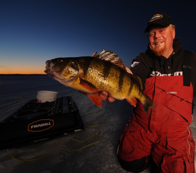 trophy perch ice new england jigging hardwater