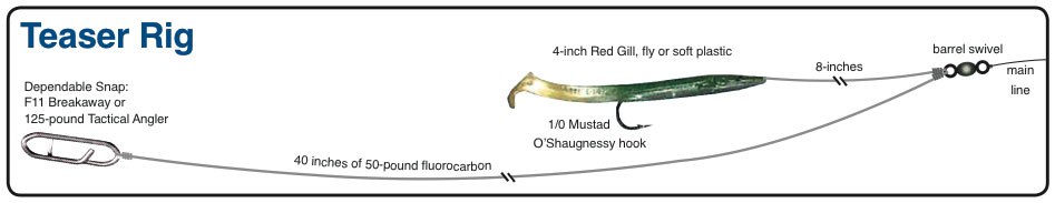 Fishing a teaser rig in front of a swimming lure will up your odds of catching fish, especially if there are small baitfish around. The main lure, plug or even metal acts as the vehicle that allows the fisherman to cast the smaller offering a good distance.
